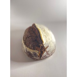 Sourdo bread with cocoa